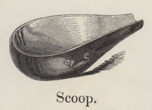 Cucharón de English School