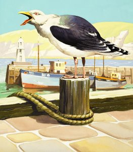 Gaviota, ilustración de "Érase una vez