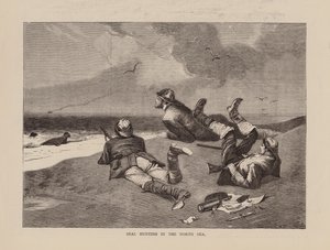 Caza de focas en el Mar del Norte (grabado) de English School