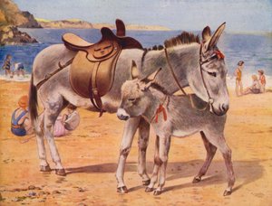 Burros junto al mar (litografia en color) de English School