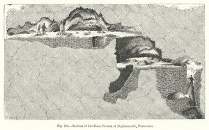 Sección de la caverna ósea de Gaylenreuth, Franconia