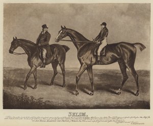 Selim (litografía) de English School