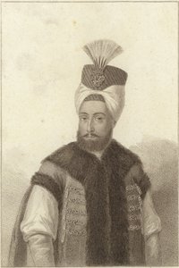 Selim III de English School