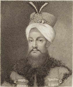 Selim II de English School