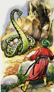 Serpiente protegiendo sus huevos de English School