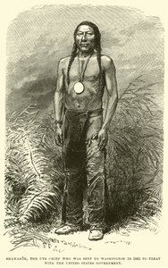 Shawanoh, el Jefe Ute que fue enviado a Washington en 1863 para tratar con el Gobierno de los Estados Unidos