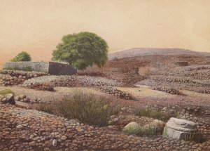 Shiloh (litografía en color)