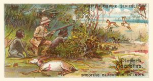 Rodaje de un antílope negro en la India (chromolitho)
