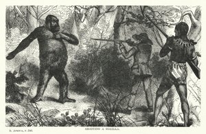 Disparando a un gorila (grabado) de English School