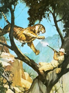Cazando un tigre