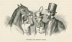 Mostrando los dientes del caballo (grabado) de English School