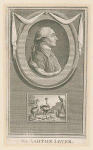 Sir Ashton Lever de English School