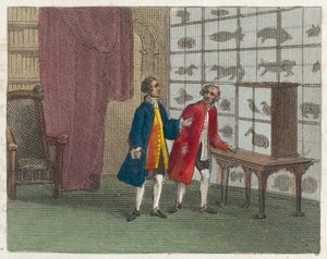 Museo de Sir Hans Sloane (grabado coloreado) de English School