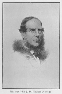Sir Joseph Dalton Hooker (1817-1911), retrato de English School