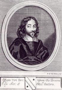 Sir Thomas Browne (1605-82), grabado por Frederick Hendrick van Hove (c.1628-98) de English School