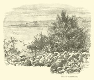 Sitio de Capernaum de English School