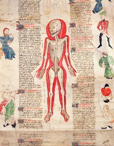 Esqueleto, de De arte phisicali e de cirugia de John Ardene, 1412