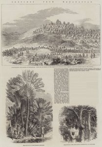 Bocetos de Madagascar (grabado) de English School