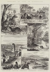 Bocetos de la vida en Queensland de English School
