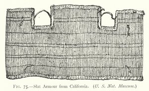 Armadura de listones de California (litografía) de English School