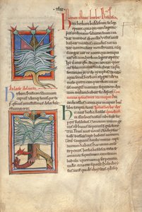 Sloane Ms 1975 fol.48 La basílica de las hierbas de English School