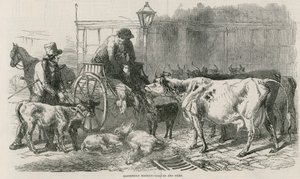 Mercado de Smithfield de English School