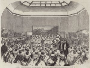 Soiree de la Sociedad para el Fomento de las Bellas Artes, celebrada en la Galería de Suffolk-Street, 26 de Enero
