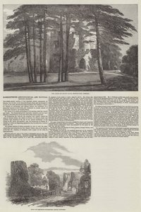 Sociedad Arqueológica e Historia Natural de Somersetshire (grabado) de English School