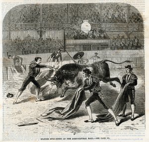 Corrida de toros española en el Salón Agrícola, Islington de English School