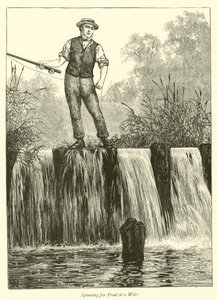 Pescando truchas en un azud de English School