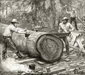 Divisores en el Bosque, c.1880, de 