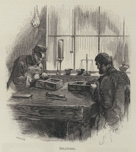 División de English School