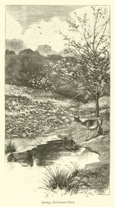 Primavera, Parque de Richmond