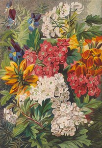 Flores de primavera (litografía en color) de English School