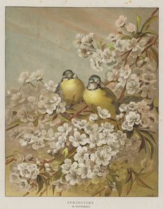 Primavera (cromolito) de English School