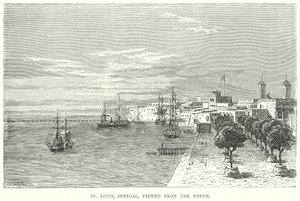 St Louis, Senegal, vista desde el norte (grabado) de English School