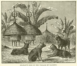 Los perros de Stanley en el pueblo de Kagehyi (grabado) de English School