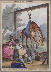 Estado de la jirafa de English School