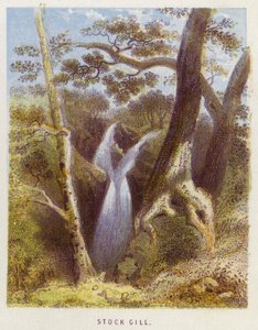 Stock Gill (litografia en color)