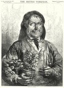 Historia de una flor (grabado) de English School