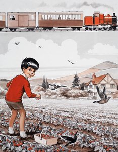 Recolección de fresas de English School