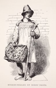 Vendedor callejero de nidos de pájaros, ilustración de London Labour and London Poor por Henry Mayhew, pub. 1862 de English School