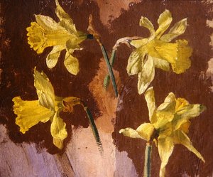 Estudio de narcisos, c.1830 de English School