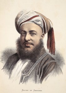 Sultán de Zanzíbar, ilustración de The Pictorial Edition of the Life and Discoveries of David Livingstone por J. Ewing Richie, pub. por A. Fullarton & Co., 1876 de English School
