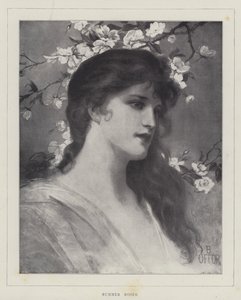 Rosas de Verano de English School