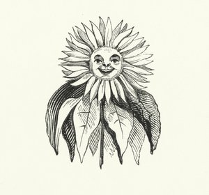 Girasol (grabado)