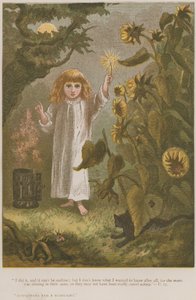 Girasoles y una Luz de Juncos de English School