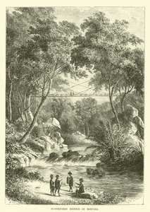 Puente colgante en Borneo de English School