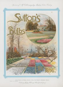 Bulbos de Suttons para 1896