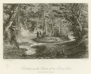 Golondrinas en las orillas del río Mole, cerca de Burford Bridge de English School